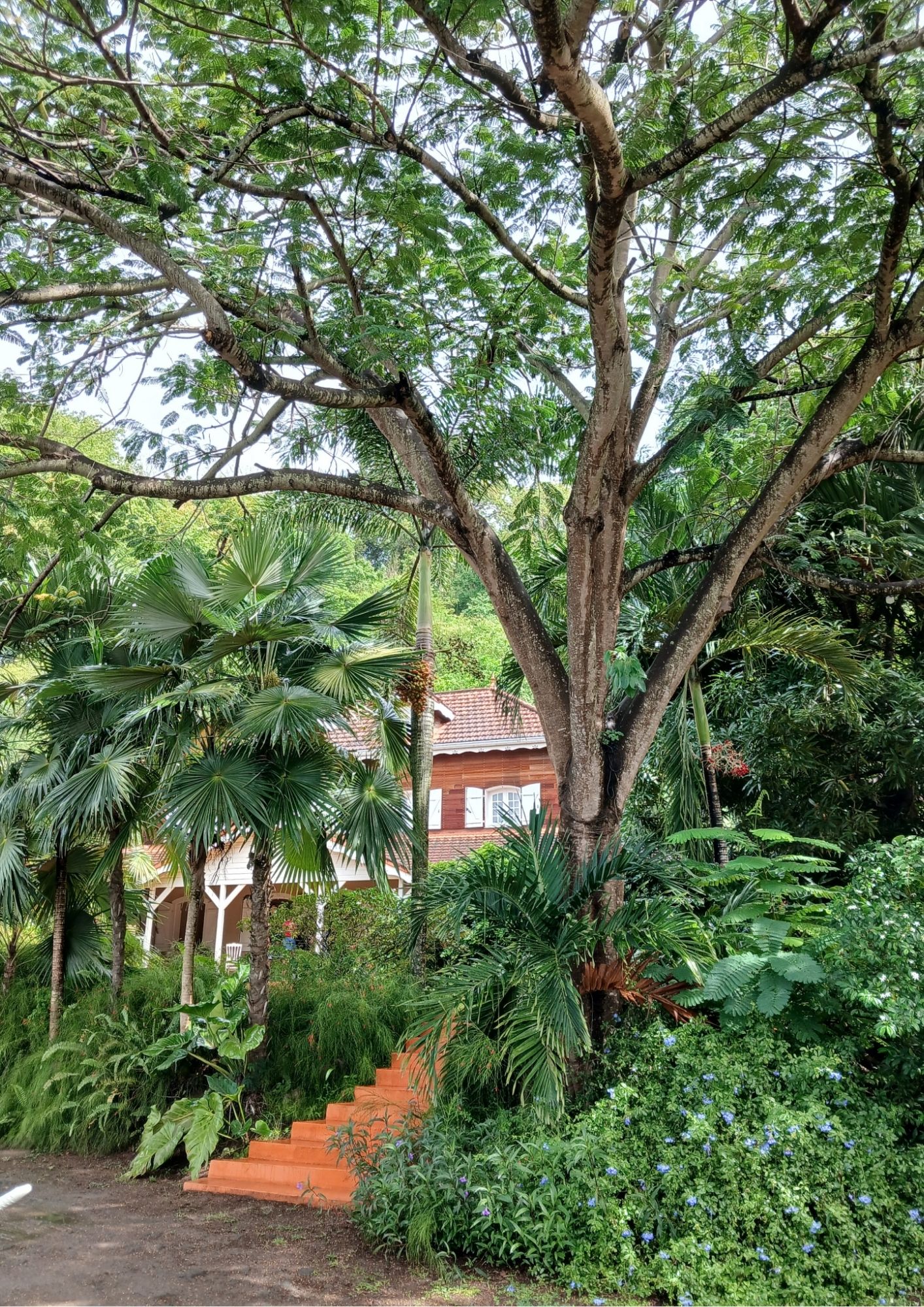 Cérémonie des voeux 2026 du CDG Martinique